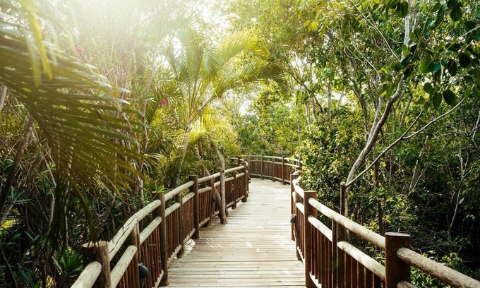 Centro Resort | The Grand Mayan at Vidanta Riviera Mayan