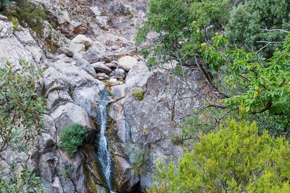 Photo of Others in Olargues