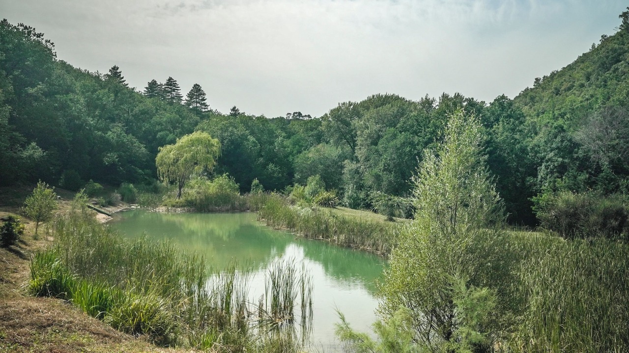 Photo of Outdoor in Meounes-les-Montrieux