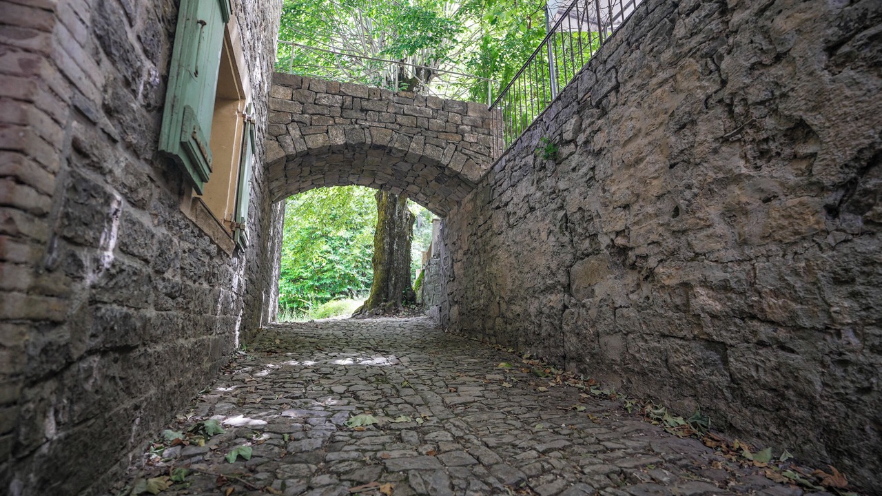Photo of Outdoor in Meounes-les-Montrieux
