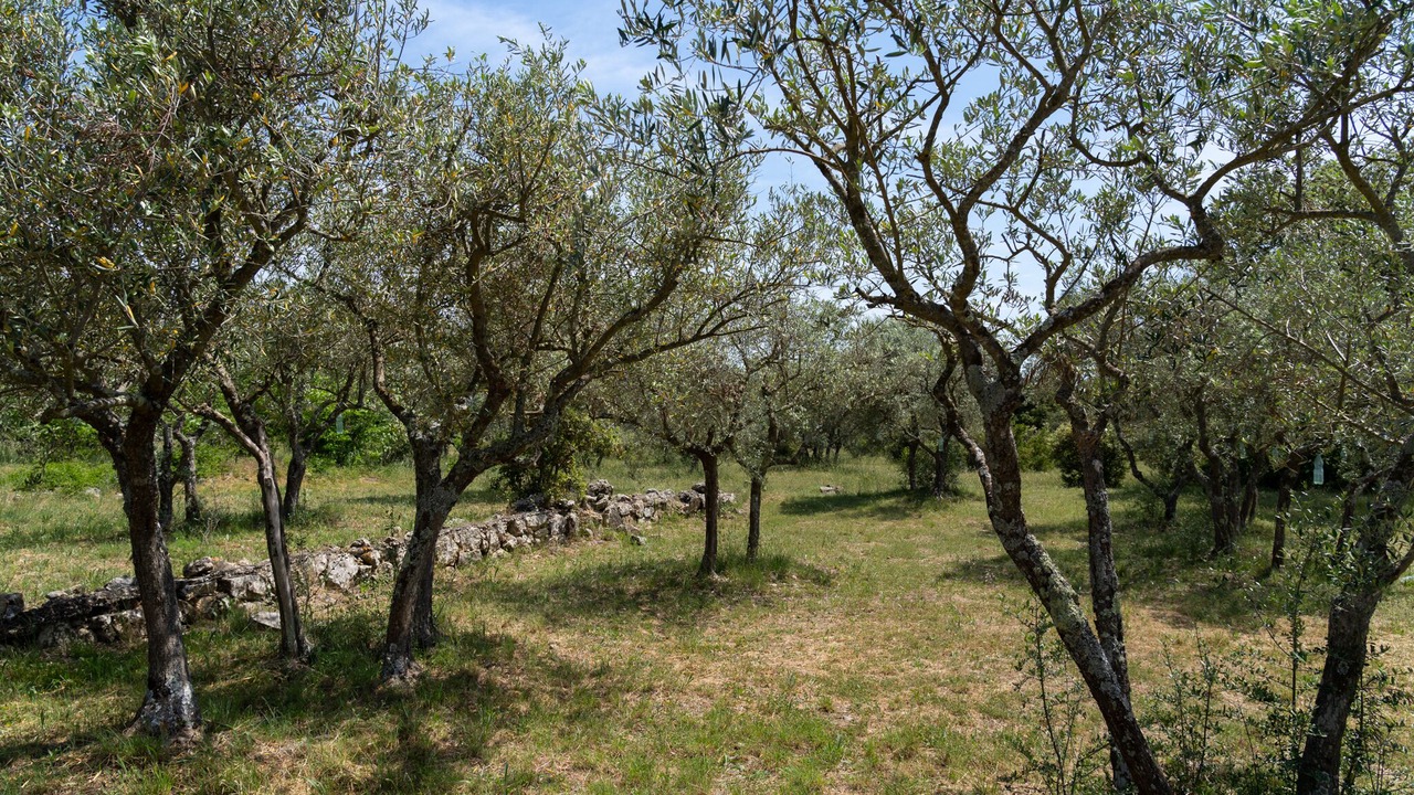 Photo of Outdoor in Saint-Julien
