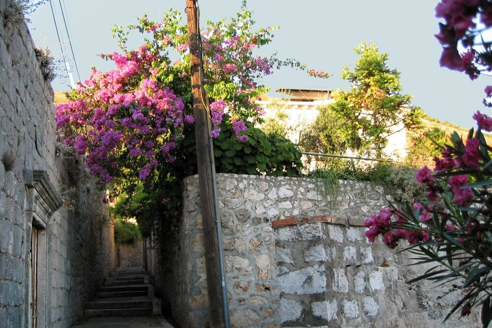 Photo of Outdoor in Gornji Kono