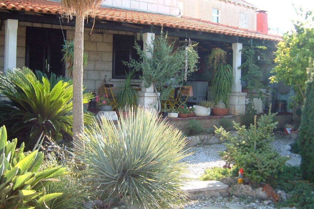 Photo of Outdoor in Gornji Kono