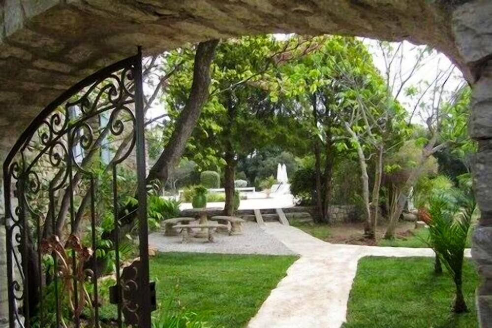 Photo of Outdoor in Taradeau