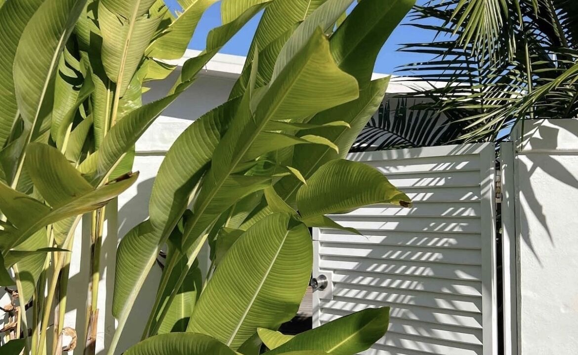 Photo of Others in Miami