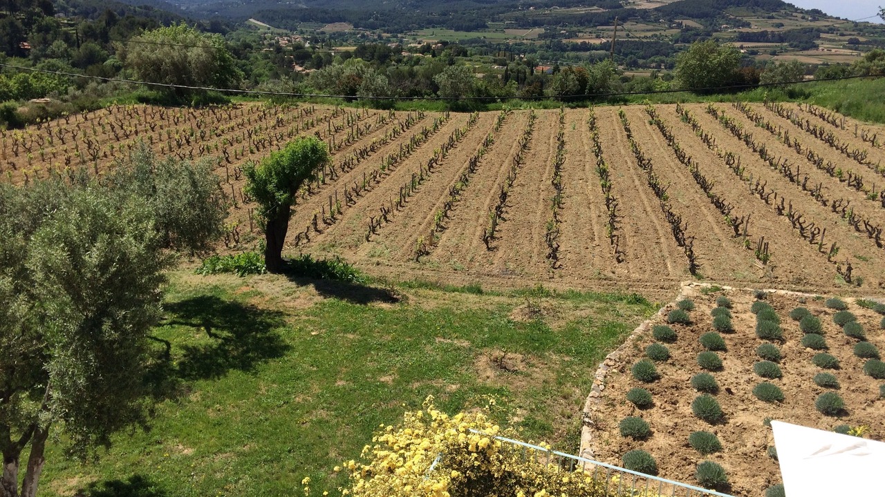 Photo of Outdoor in Le Castellet