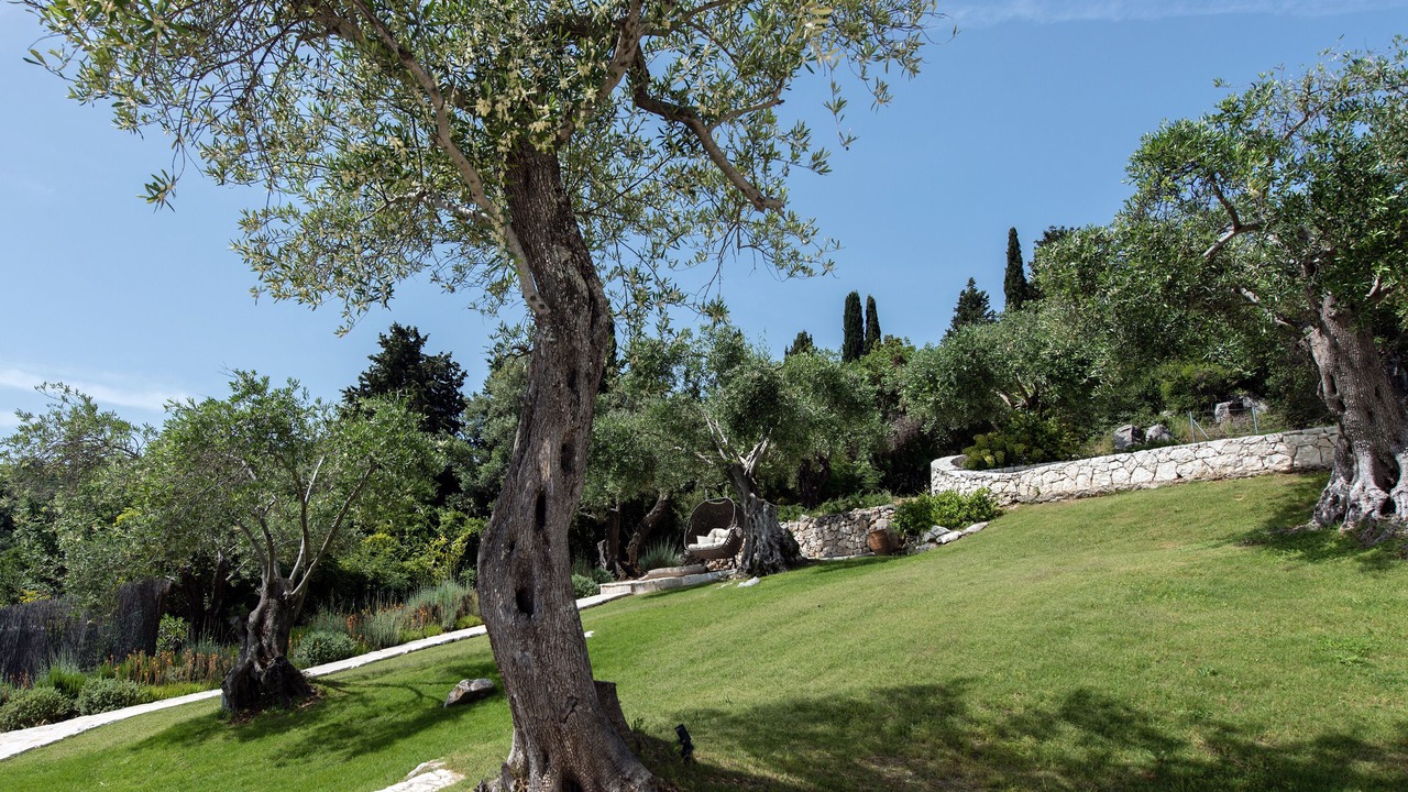 Photo of Outdoor in Kassiopi