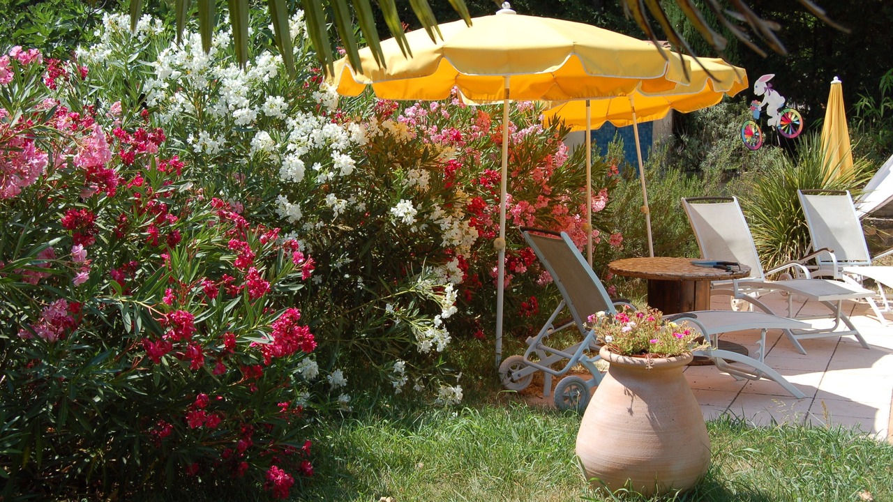 Photo of Outdoor in Saint-Maximin-la-Sainte-Baume