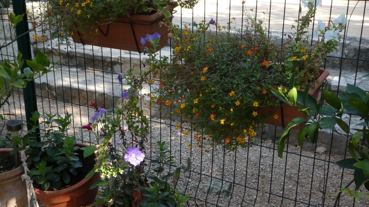 Photo of Outdoor in Saint-Maximin-la-Sainte-Baume