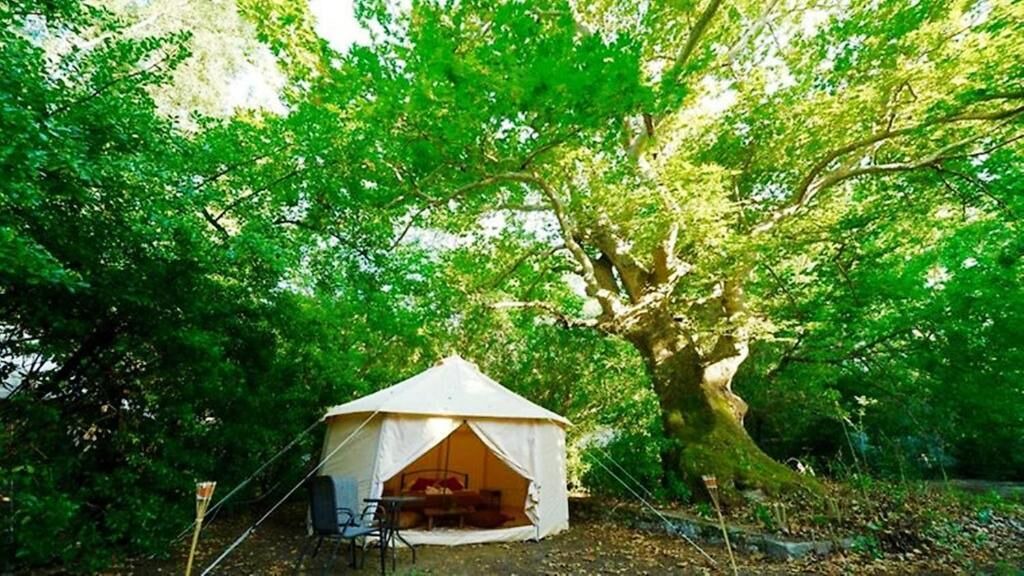 Photo of Outdoor in Kassandra