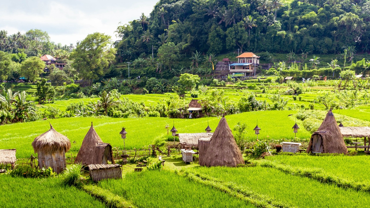 Photo of Outdoor in Ababi