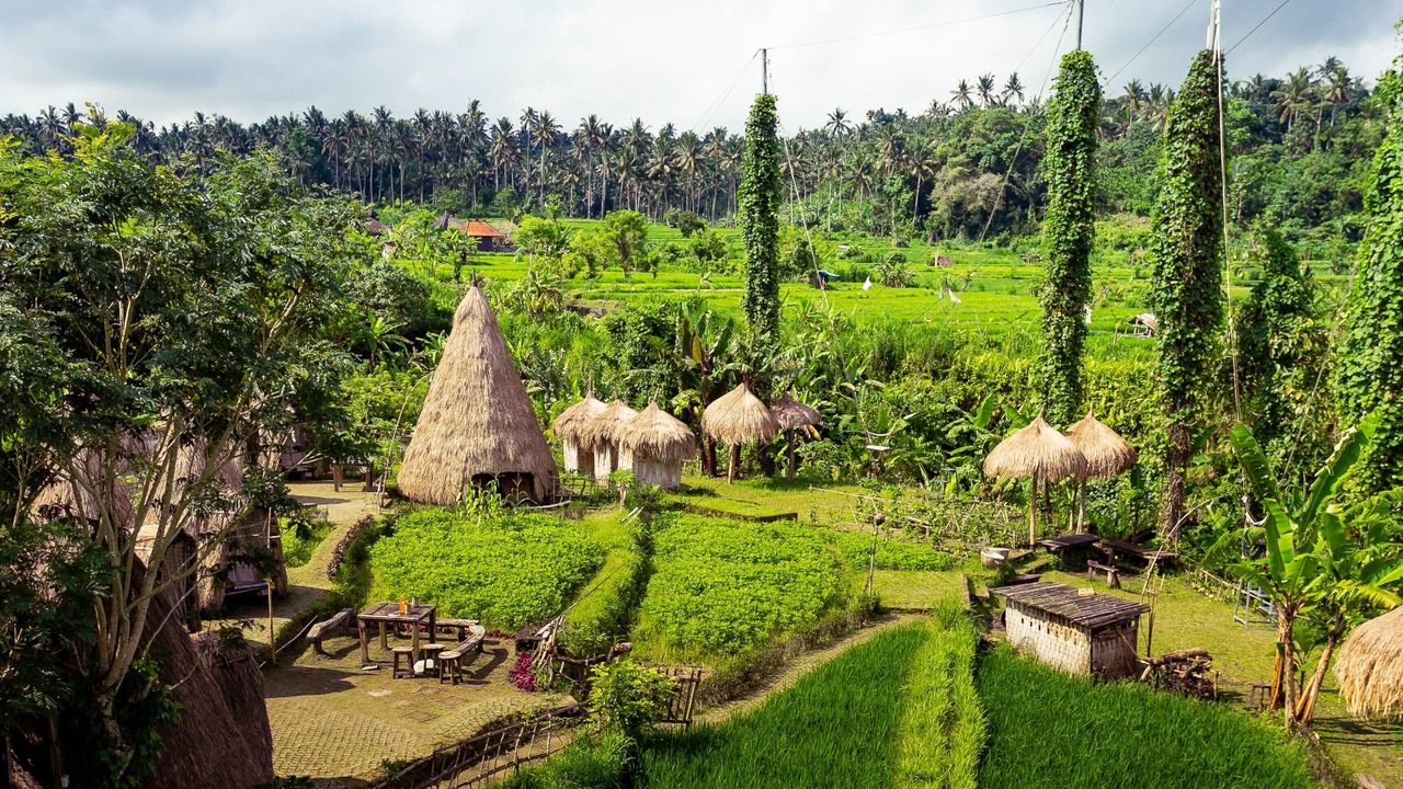 Photo of Outdoor in Ababi