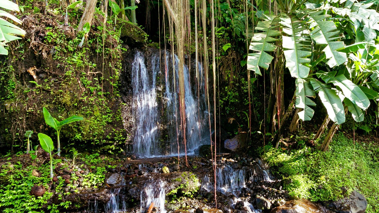 Photo of Outdoor in Ababi