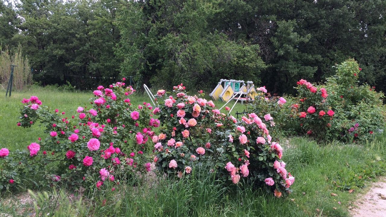 Photo of Outdoor in La Begude-de-Mazenc
