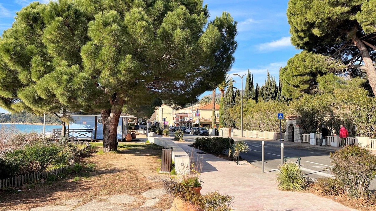 Photo of Outdoor in Cavaliere Beach