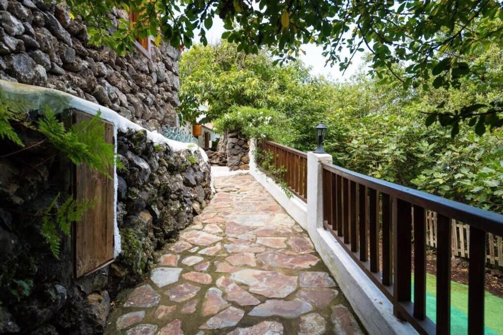 Photo of Outdoor in Icod de los Vinos