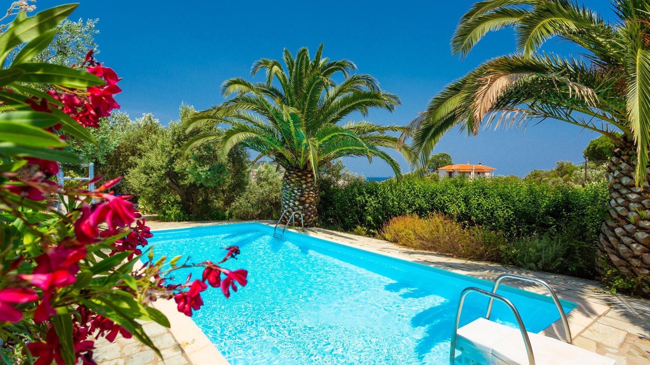 Photo of Others in Skopelos