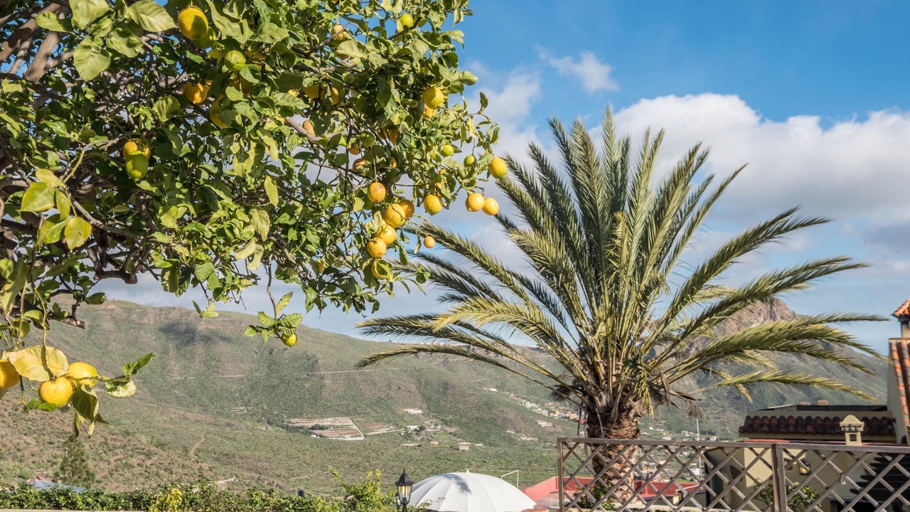 Photo of Outdoor in Valle de San Lorenzo