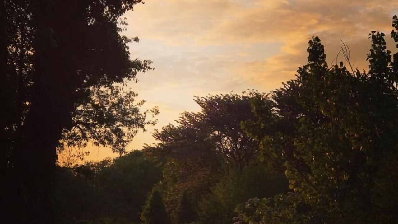 Photo of Outdoor in Saint-Martin-de-Bavel
