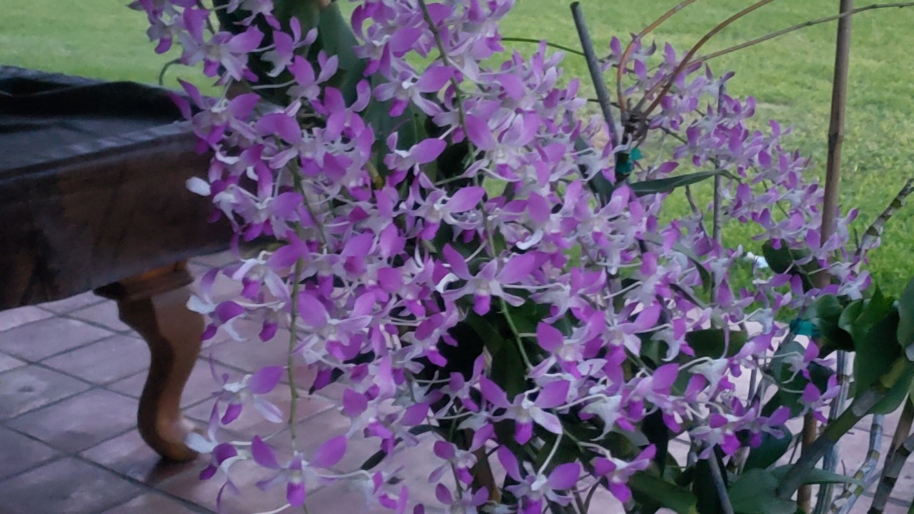 Photo of Outdoor in Florida City