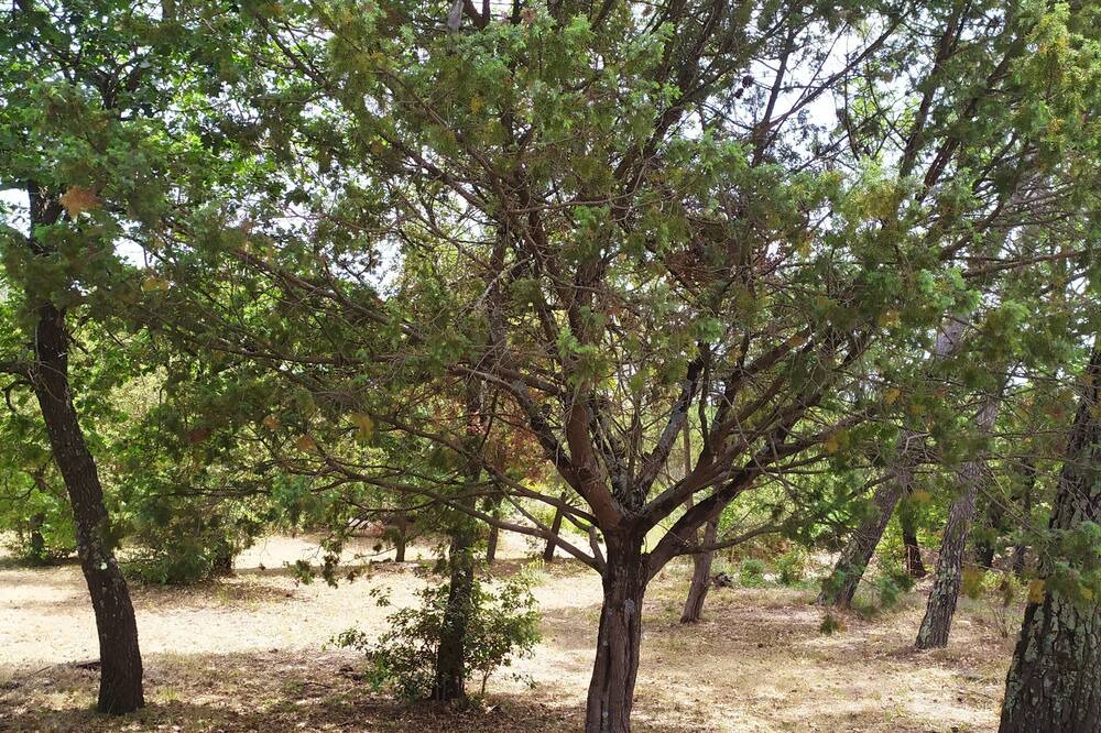 Photo of Outdoor in Fox-Amphoux