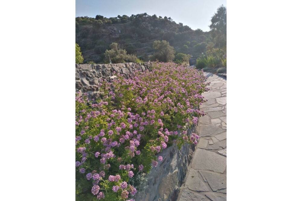 Photo of Outdoor in Nisyros