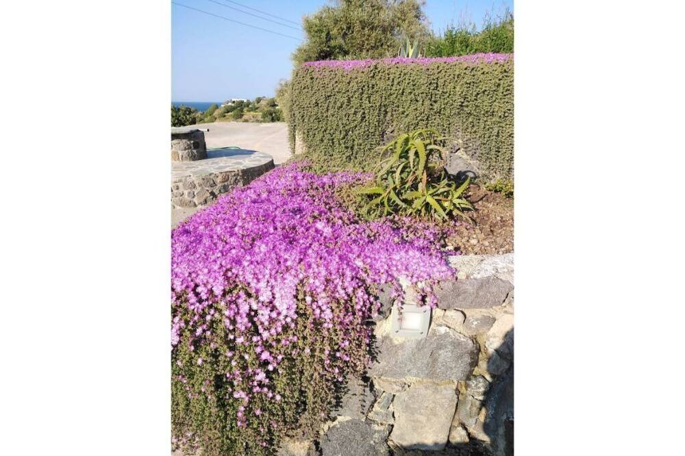 Photo of Outdoor in Nisyros