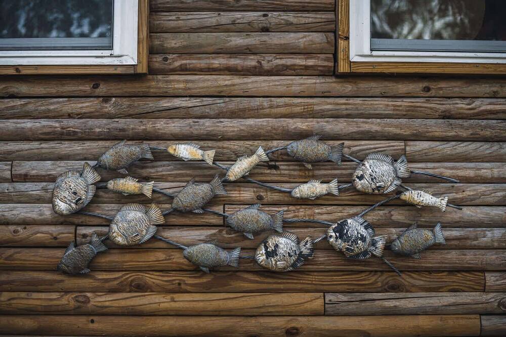 Photo of Outdoor in Nichols