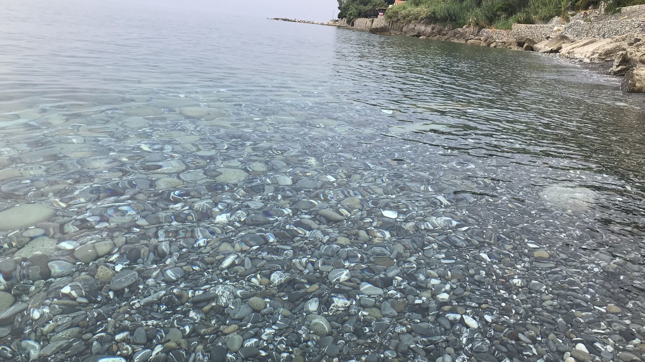Photo of Others in Marina di Pisciotta