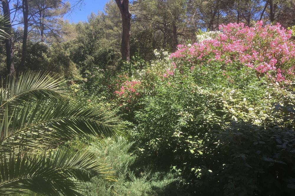 Photo of Outdoor in Pignans