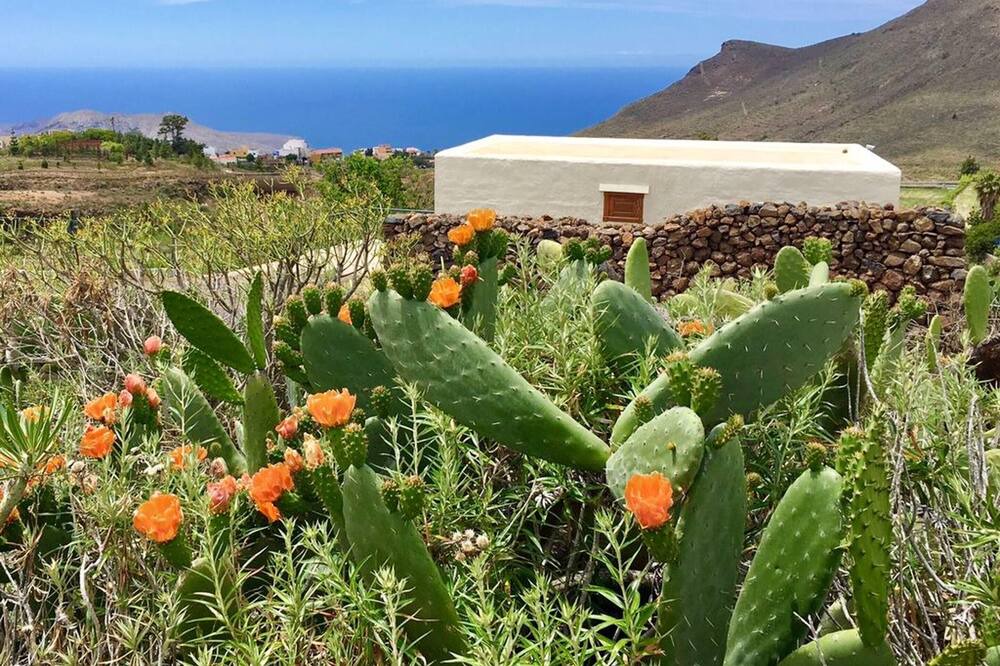 Photo of Outdoor in El Madronal