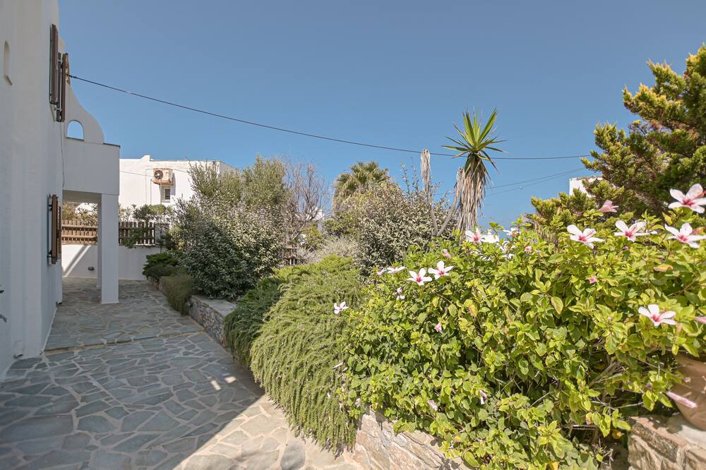 Photo of Outdoor in Stelida
