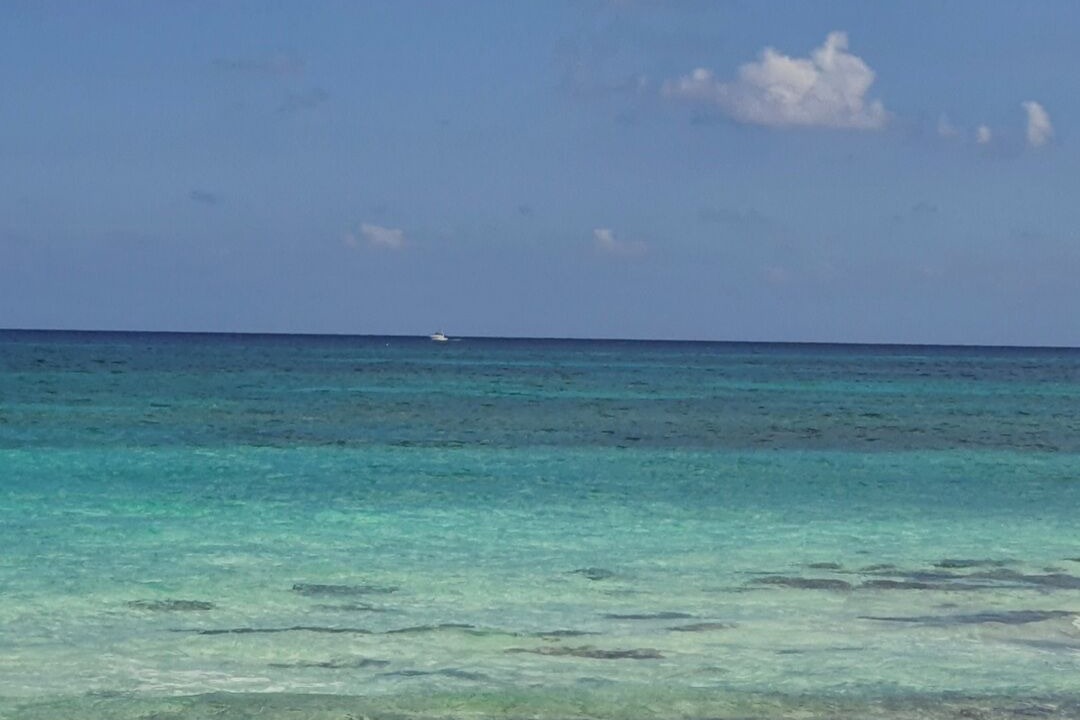 Photo of Outdoor in Silver Sands