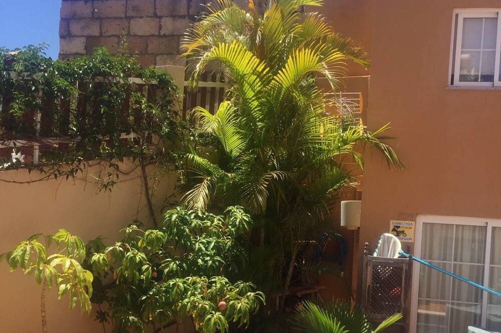 Photo of Outdoor in Candelaria