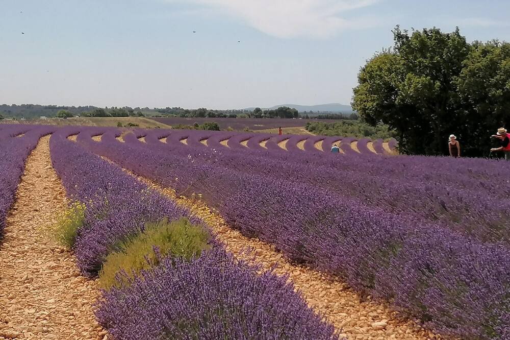 Photo of Outdoor in La Verdiere
