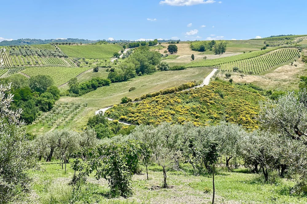 Photo of Outdoor in Paternopoli