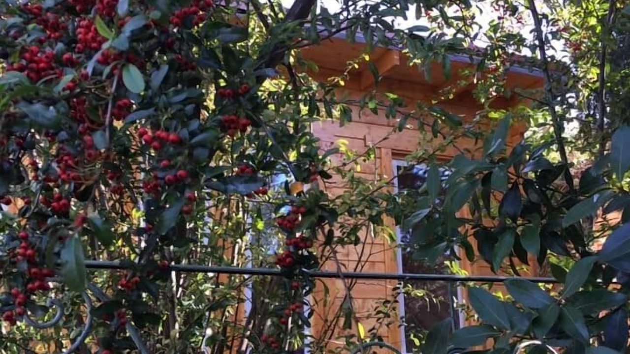 Photo of Outdoor in Barjols