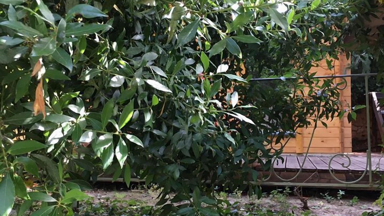 Photo of Outdoor in Barjols