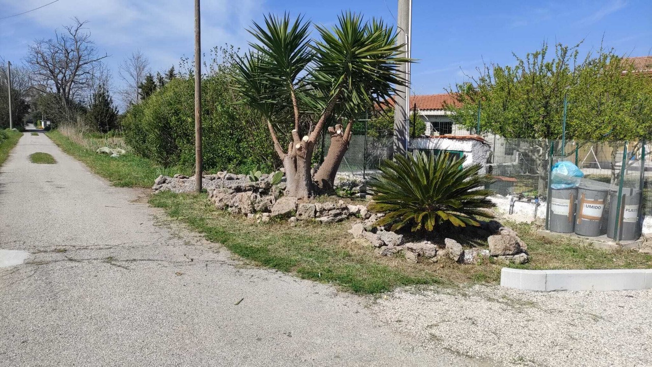 Photo of Outdoor in Paestum