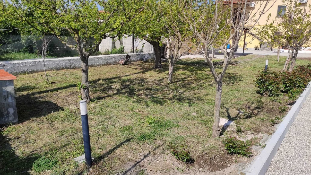 Photo of Outdoor in Paestum