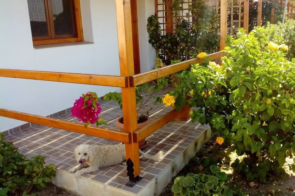 Photo of Outdoor in Agios Kirykos