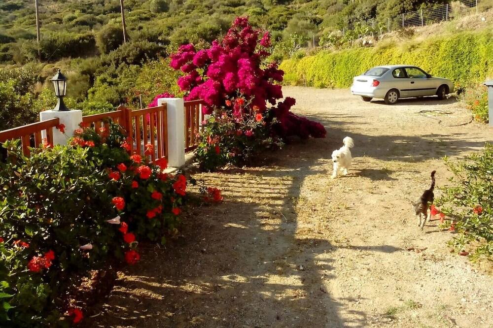 Photo of Outdoor in Agios Kirykos