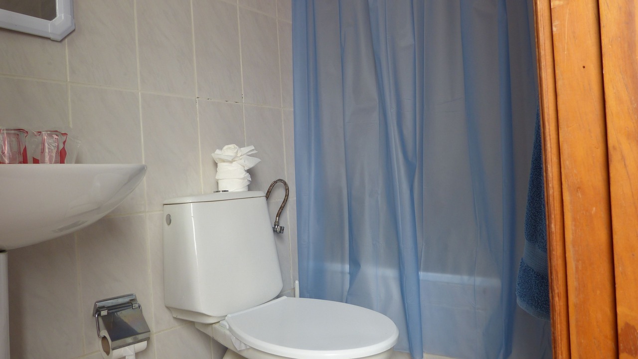 Photo of Bathroom in Vilaflor