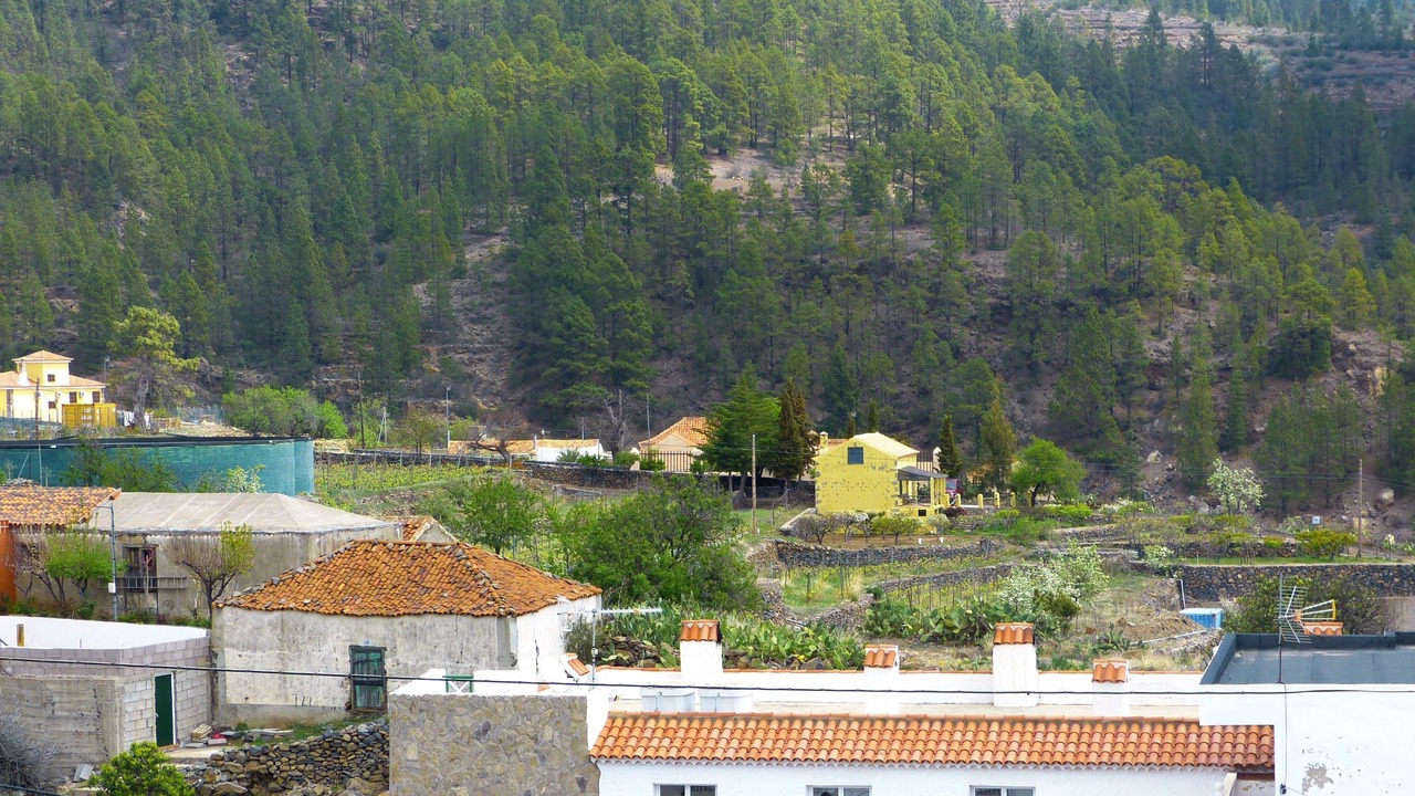 Photo of Bedroom in Vilaflor