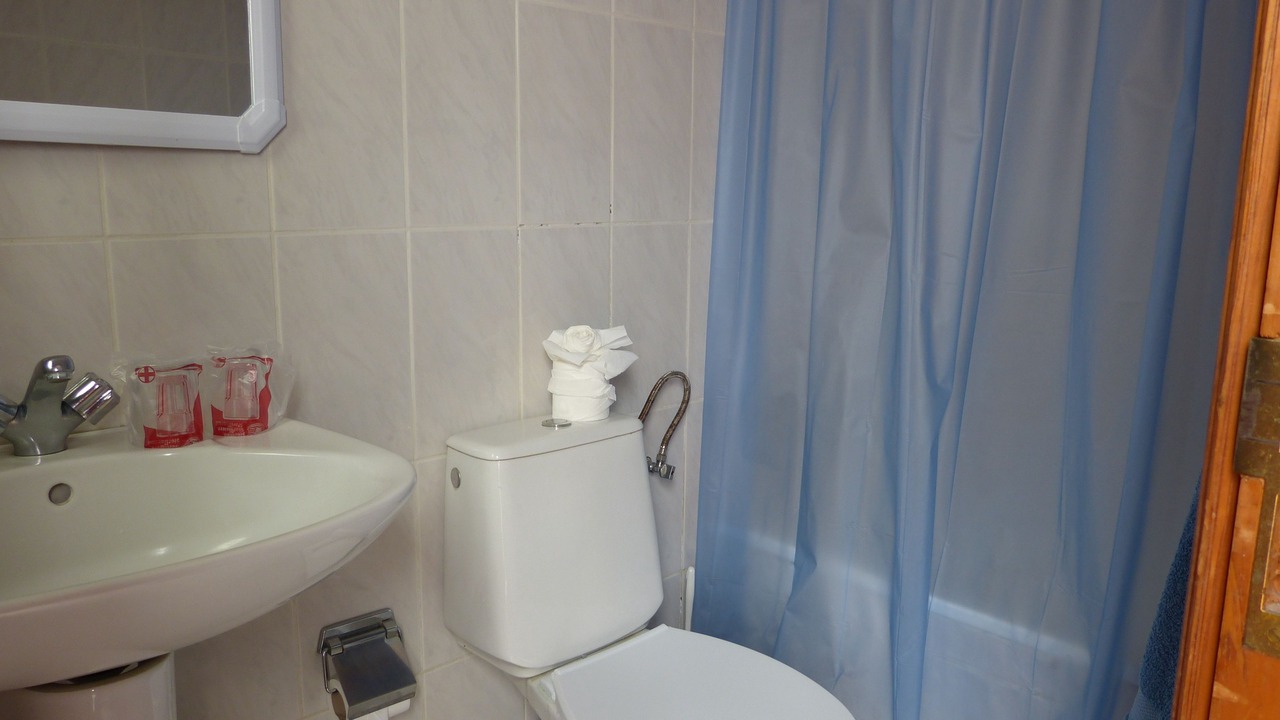 Photo of Bathroom in Vilaflor