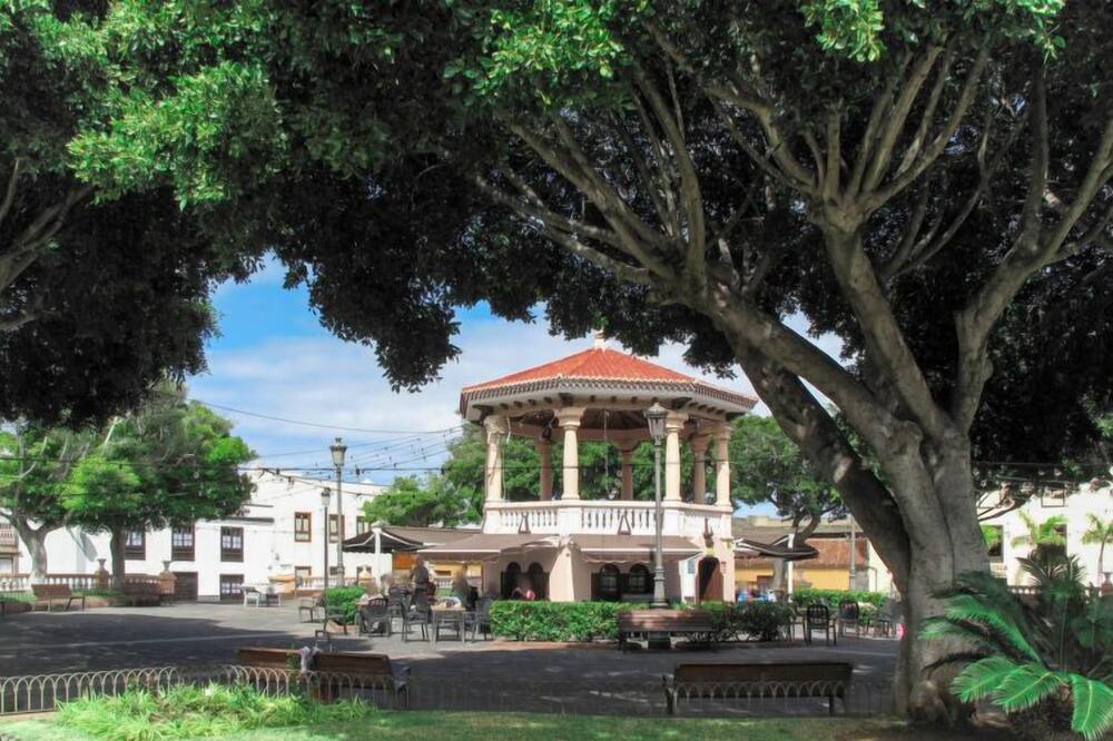 Photo of Outdoor in Buenavista del Norte