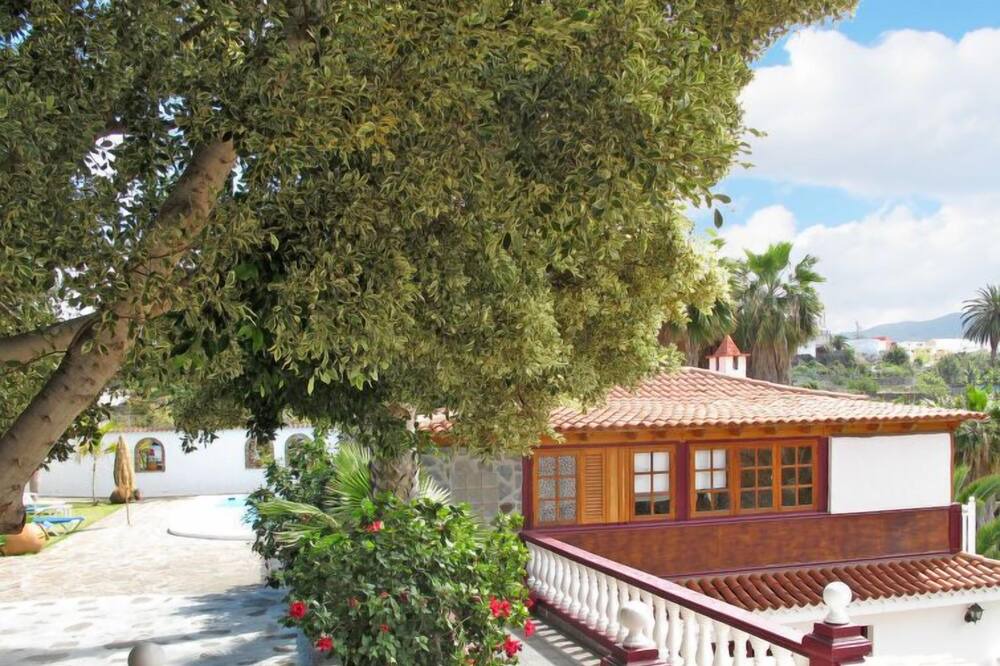 Photo of Outdoor in Buenavista del Norte