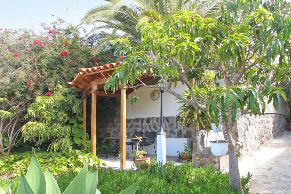 Photo of Others in Buenavista del Norte