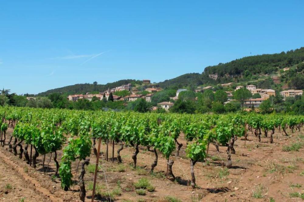 Photo of Outdoor in Gonfaron