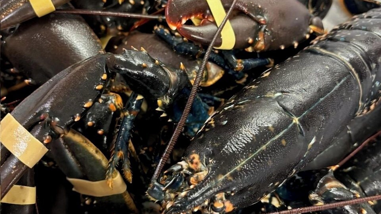 Photo of Others in La Bouilladisse